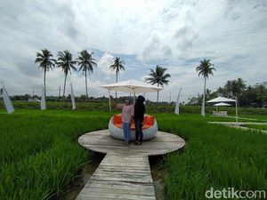 Ini Sawah SvargaBhumi yang Oke Banget di Mata Ganjar Pranowo
