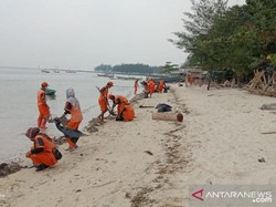 Pesisir Pulau Pari Tercemar, 470 Kantong Limbah Minyak Mentah Dikumpulkan