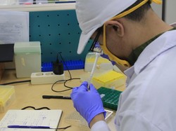 Sssttt...Ini Bocoran Proses Pembuatan Vaksin Corona RI