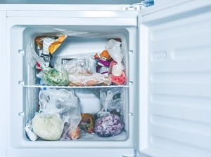 Kapan Sebaiknya Freezer Dibersihkan? Ini Kata Ahli Kapan Sebaiknya Freezer Dibersihkan? Ini Kata Ahli