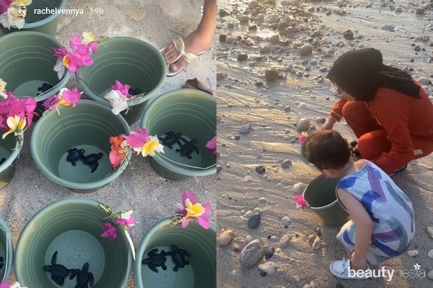 Liburan seru Rachel Vennya di Sumba, melepas penyu bareng Xabiru