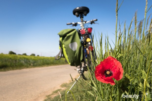 Menurunkan Berat Badan
