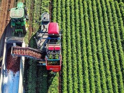 Mungkinkah Pemegang WHV Jadi Warga Asing yang Diprioritaskan Masuk Australia?