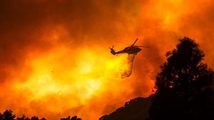 Potret Kebakaran Hutan di California