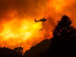 Dipicu Gelombang Panas Kebakaran Hutan di California Meluas