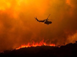 Dilanda Kebakaran Hutan, Gubernur California Minta Bantuan Internasional