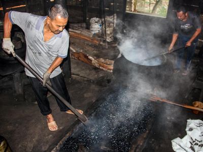 Potret Produksi Bubuk Kopi Tradisional