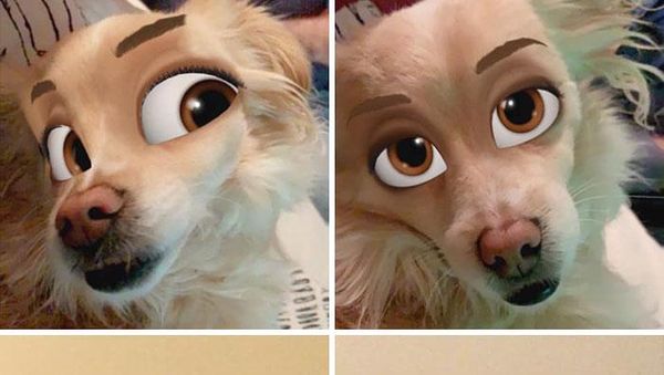 Kocak, Filter Snapchat Bikin Anjing Bak Kartun Disney