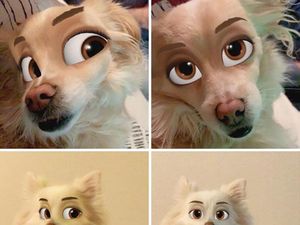Kocak, Filter Snapchat Bikin Anjing Bak Kartun Disney Kocak, Filter Snapchat Bikin Anjing Bak Kartun Disney
