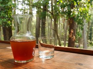 Tempat Nongkrong Millenial yang Sejuk Bagai Oase di Bandung Tempat Nongkrong Millenial yang Sejuk Bagai Oase di Bandung