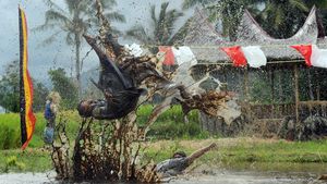 Foto Memukau Silek Lanyah Sambut HUT RI