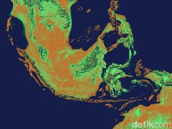 Ilmuwan Yakin Ada Fosil di Benua Sundaland yang Tenggelam