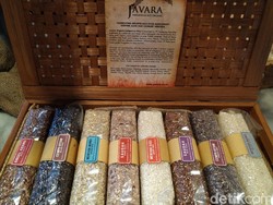 7.000 Jenis Padi Pernah Tumbuh di Indonesia, Kini Jadi Tanaman Langka