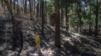 Foto-foto Taman Nasional Coronado AS Pascakebakaran Hebat