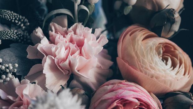 Peonies