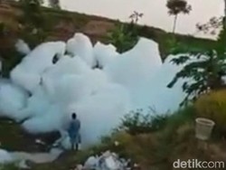 Busa Bak Awan di Pasuruan Bikin Ikan dalam Kolam pada Mati