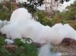 Busa Bak Awan di Pasuruan Berasal dari Pabrik Bangkrut