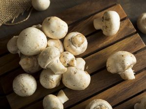 Jamur dari Hutan Itu Bikin Belasan Warga Cianjur Keracunan Jamur dari Hutan Itu Bikin Belasan Warga Cianjur Keracunan