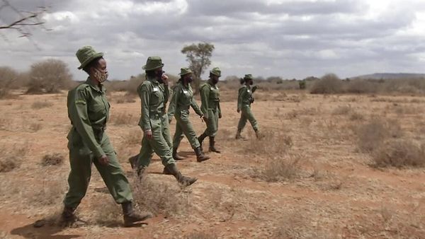 Potret Wanita Tangguh Penjaga Margasatwa di Kenya