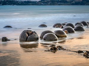 Unik Nih, di Pantai Selandia Baru Ada Telur Naga Unik Nih, di Pantai Selandia Baru Ada Telur Naga