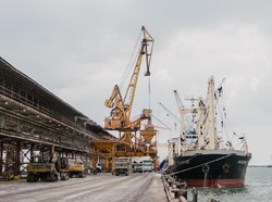 Begini Jurus Bikin Distribusi Pupuk Lancar sampai ke Petani