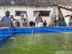 Kolam Ikan di Kantor Polisi Ini Bantu Warga Terdampak COVID-19