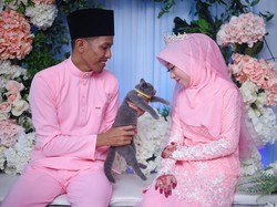 Bukan Emas atau Uang, Pria Ini Viral karena Berikan Kucing untuk Seserahan