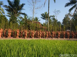 Untuk Agus, Ada Tiket Wisata dan Makan Gratis di Banyuwangi