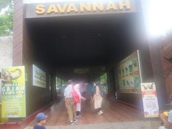 Bukan Afrika, Ini di Batu Secret Zoo