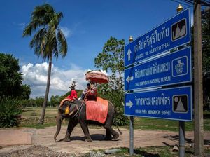 Pedihnya Helen Lihat Iklan Sirkus Gajah di Mana-mana, Pemerintah kok Diam Saja?