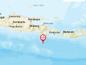 Gempa M 5,3 Terasa di Jember, Kantor BPBD Terasa Bergetar
