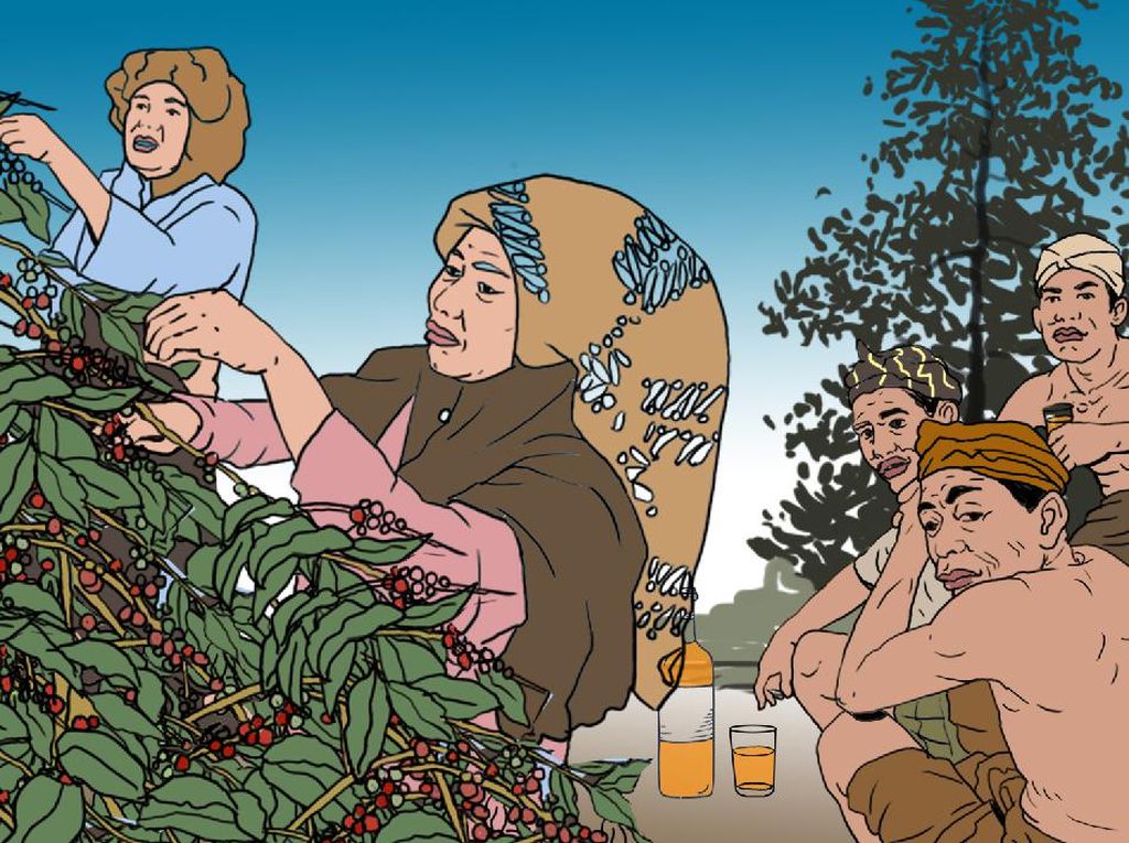 Musim Panen Kopi Musim Panen Kopi