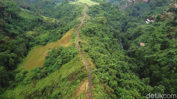 Menikmati Segarnya Udara di Campuhan Ridge Walk Bali