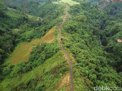 Menikmati Segarnya Udara di Campuhan Ridge Walk Bali
