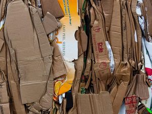 Mafia Raup Miliaran Dolar dari Kardus Bekas, Indonesia Jadi Pasar Potensial