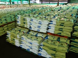 Pupuk Indonesia Siapkan Stok 775 Ton Pupuk Nonsubsidi untuk Petani