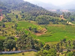 Segarnya Udara Pagi di Gunung Leutik Bogor