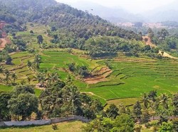 Segarnya Udara Pagi di Gunung Leutik Bogor