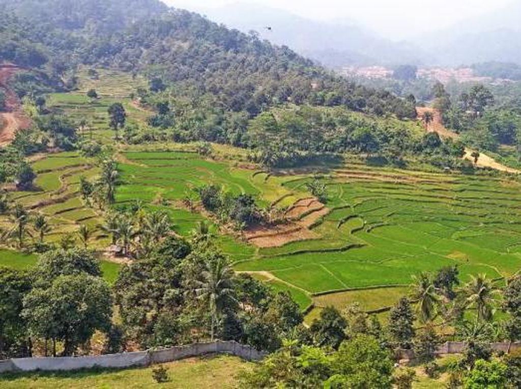 Segarnya Udara Pagi di Gunung Leutik Bogor Segarnya Udara Pagi di Gunung Leutik Bogor