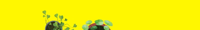 Banner GIF Tips Merawat Tanaman Hias
