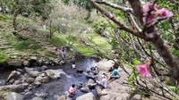 Wisata Alam Favorit di Puncak Ini Tetap Ramah Kantong, Tiketnya Tak Naik