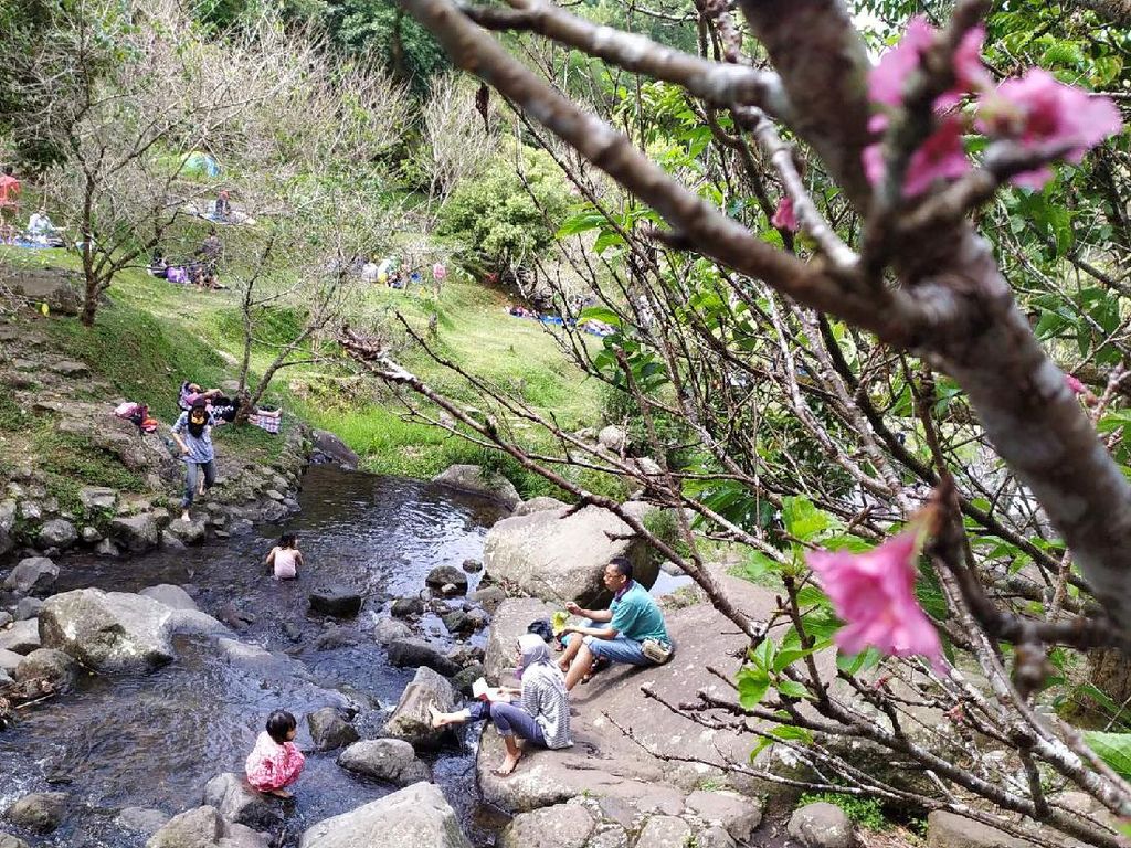 5 Objek Wisata Hits di Cianjur, Cocok untuk Libur Akhir Pekan
