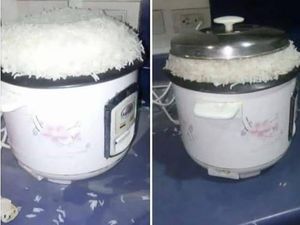 5 Pengalaman Kocak Netizen Saat Masak Nasi Ini Bikin Ngakak 5 Pengalaman Kocak Netizen Saat Masak Nasi Ini Bikin Ngakak