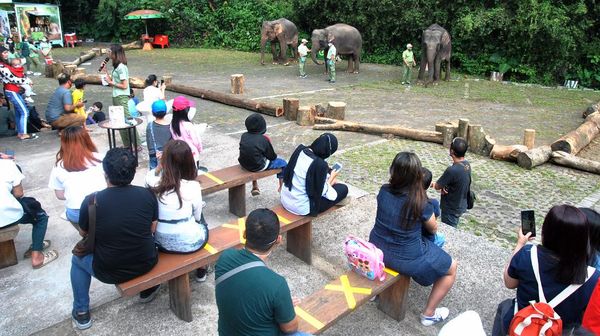 Libur Panjang, Kebun Binatang di Bogor Diserbu Wisatawan