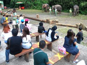 Sudah Diingatkan, Pengunjung Taman Safari Banyak yang Nggak Pakai Masker Sudah Diingatkan, Pengunjung Taman Safari Banyak yang Nggak Pakai Masker