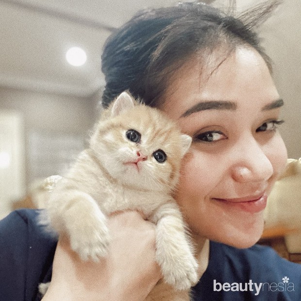 Potret Lula Lahfah dan Kucing Peliharaannya/sumber: www.instagram.com/lulalahfah/ Potret manis saat Lula Lahfah mengabadikan momen bersama dengan kucing lucu kesayangannya.