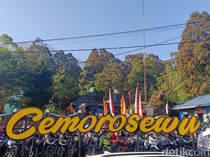 Full Kuota, Pendakian Gunung Lawu Lewat Cemoro Sewu Ditutup