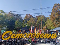 Full Kuota, Pendakian Gunung Lawu Lewat Cemoro Sewu Ditutup