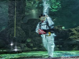 SeaWorld Gelar Upacara dalam Air, Penyelam: Tak Semeriah Biasanya