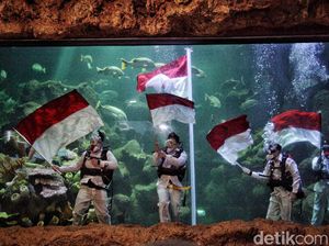 Suasana Pengibaran Merah Putih di Akurium Raksasa Sea World